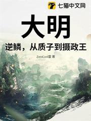 大明：逆鱗，從質子到攝政王