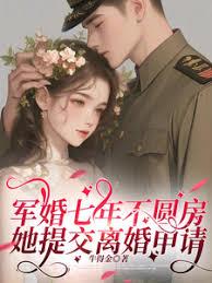 軍婚七年不圓房，她提交離婚申請
