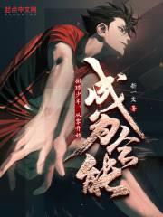 排球少年：冠軍征途