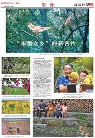 快穿之顧七七的散裝人生