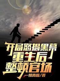 開局怒揭黑幕，重生後整頓官場