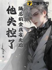 陸總的金絲雀走後，他失控了