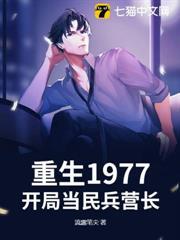 重生1977，開局當民兵營長