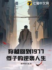 穿越回到1977，傻子的逆襲人生