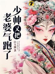 少帥，蘇小姐不愛你很久了