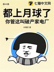 都上月球了，你管這叫破產家電廠？