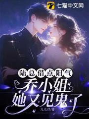 陸總借點陽氣，喬小姐她又見鬼了