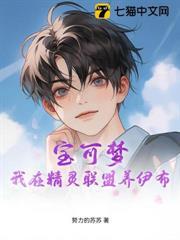 寶可夢：我在精靈聯盟養伊布
