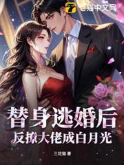 替身逃婚後，反撩大佬成白月光