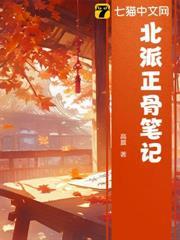 北派正骨筆記