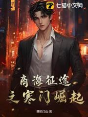 商海征途之寒門崛起