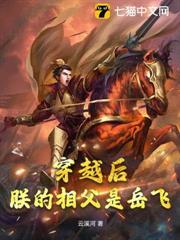穿越後朕的相父是岳飛？！