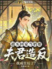 被買回家當奶娘，夫君造反我成皇后了？