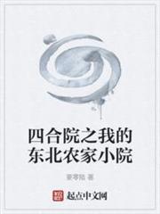 四合院之我的東北農家小院