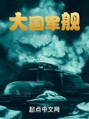 大國軍艦