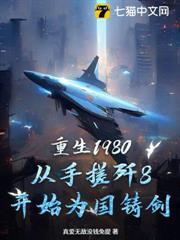 重生1980，從手搓殲8開始為國鑄劍