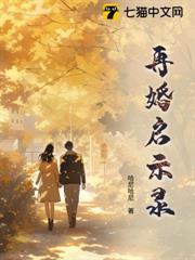 再婚啟示錄