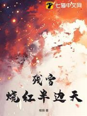 殘雪燒紅半邊天