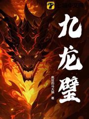 九龍璧