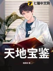 天地寶鑑