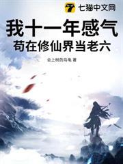 我十一年感氣，苟在修仙界當老六