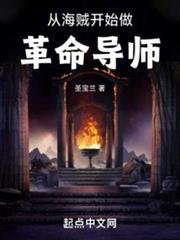 從海賊開始做革命導師