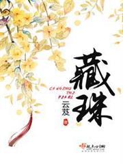 藏珠